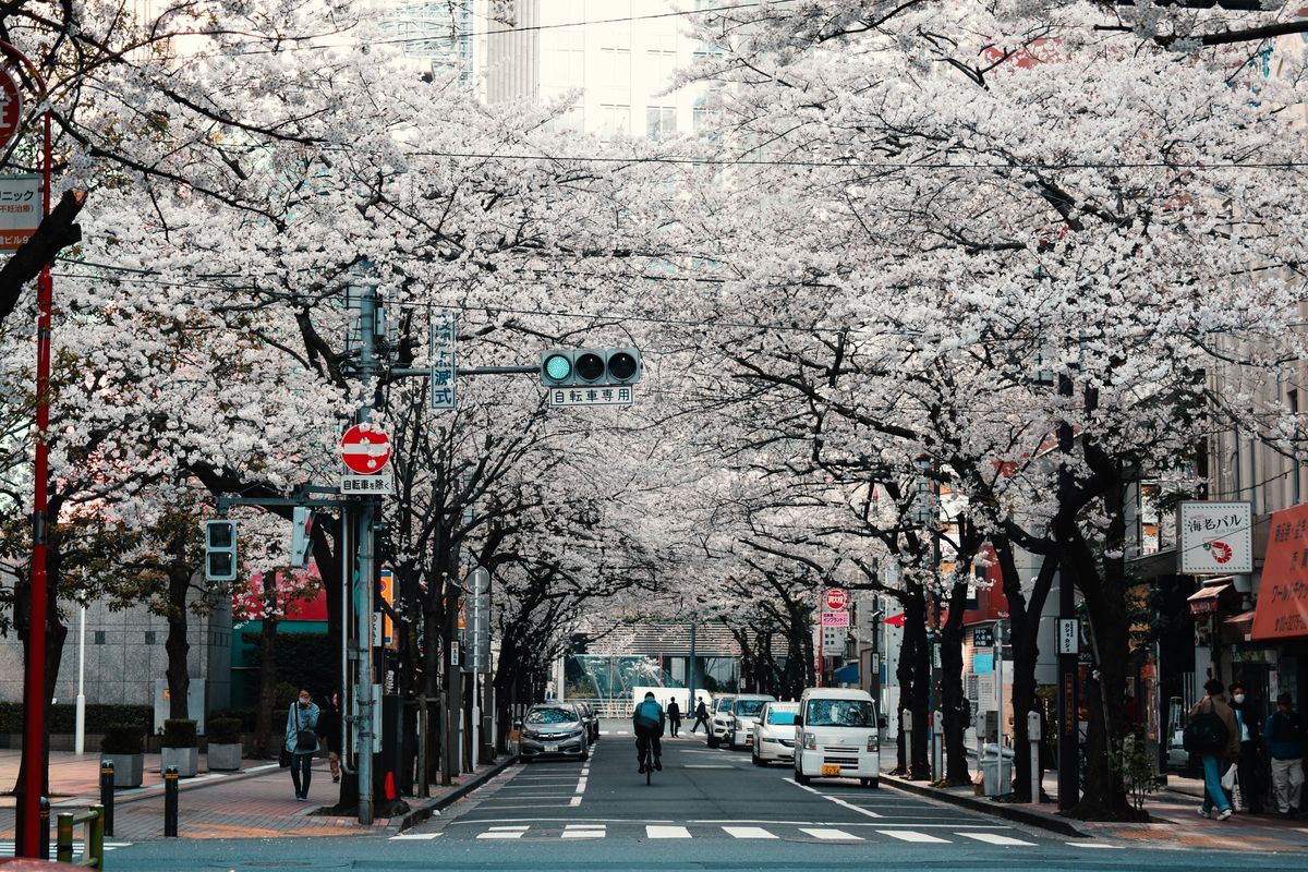 Banyak Turis Batalkan Liburan ke Jepang akibat Ramalan Komik dan Cenayang