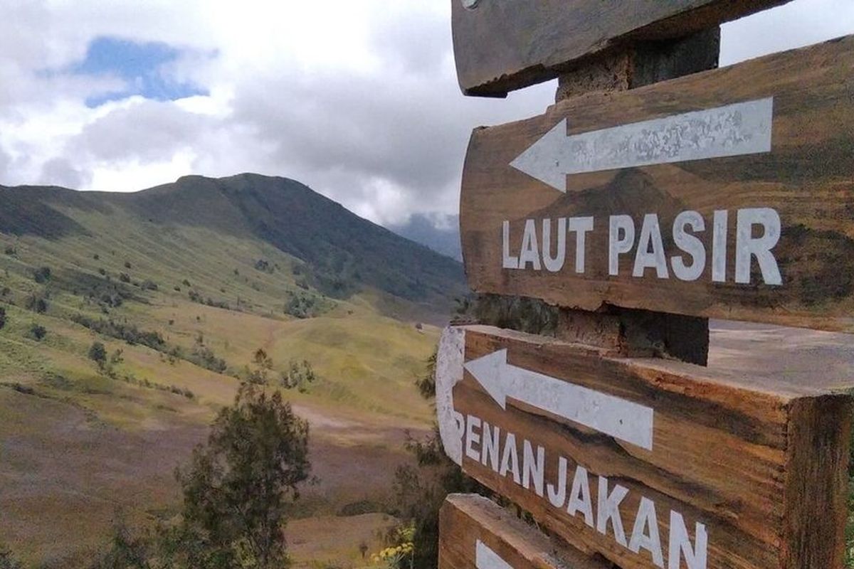 Itinerary Seharian di Bromo Jawa Timur, dari Sunrise hingga Sunset